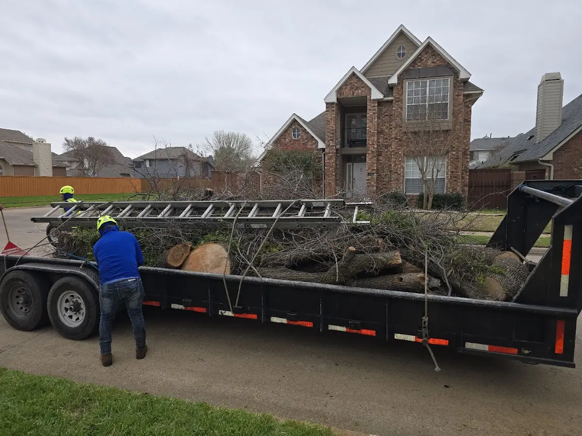 Expert Tree Pest Control with proper safety equipment in Deep Run